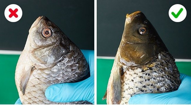 12 food quality testing tips to avoid poisoning Picture 14