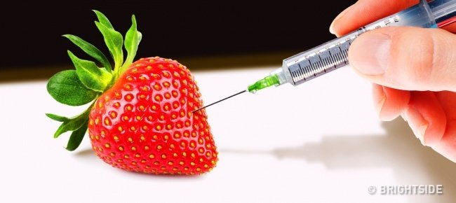 12 food quality testing tips to avoid poisoning Picture 17