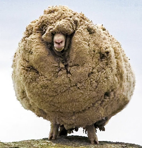 12 interesting photos to help you open your mind Picture 2