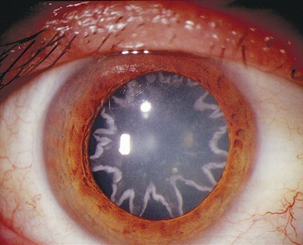 12 interesting photos to help you open your mind Picture 6