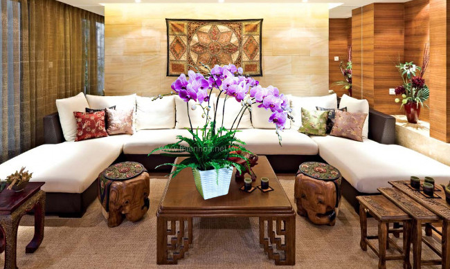 12 kinds of ornamental plants bring fortune to the house on Tet holiday Picture 13