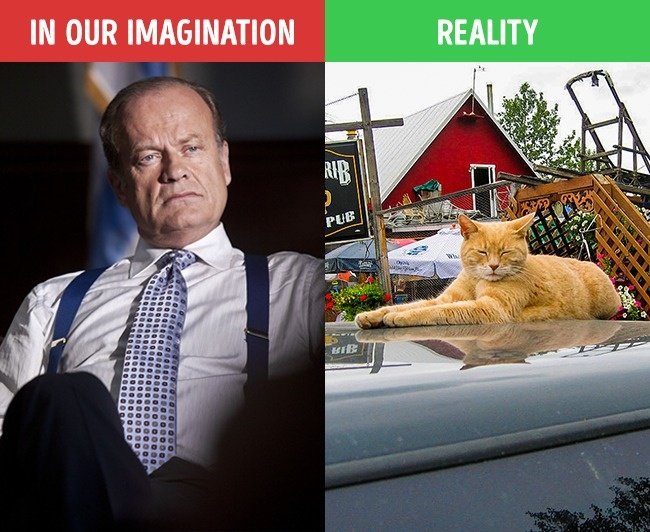 12 reasons why you should not believe in a career model on movies Picture 5