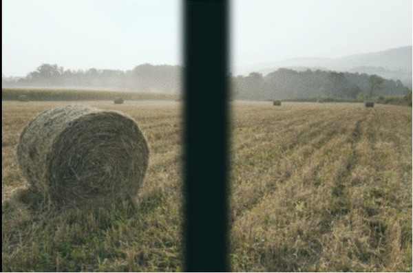 12 species of animals have the strangest vision in the natural world Picture 12