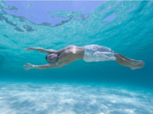 12 species of animals have the strangest vision in the natural world Picture 17