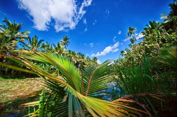 12 species of animals have the strangest vision in the natural world Picture 19