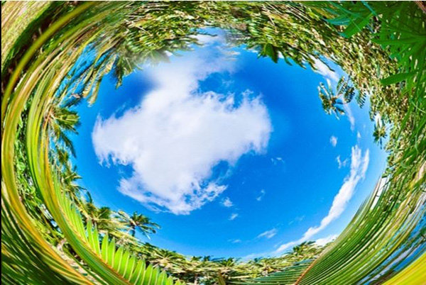 12 species of animals have the strangest vision in the natural world Picture 20