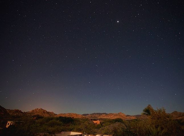 12 species of animals have the strangest vision in the natural world Picture 21