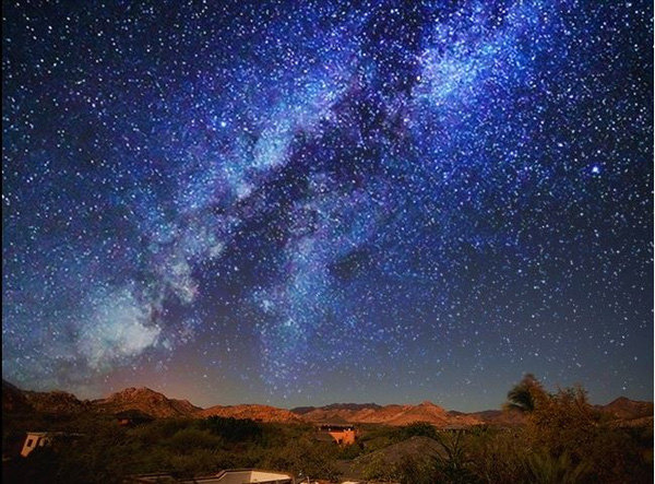 12 species of animals have the strangest vision in the natural world Picture 22