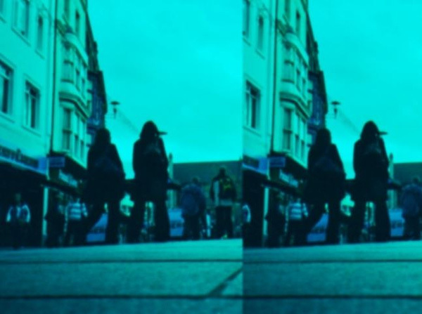 12 species of animals have the strangest vision in the natural world Picture 8