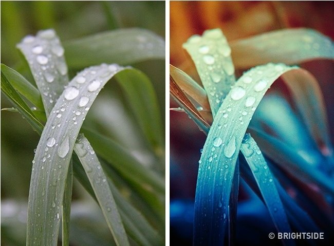 12 tips to raise 'virtual living' to a new level Picture 16