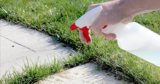 13 great uses of PAPER you may not know Picture 1