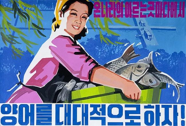 13 interesting facts about Korea can be unknown Picture 14