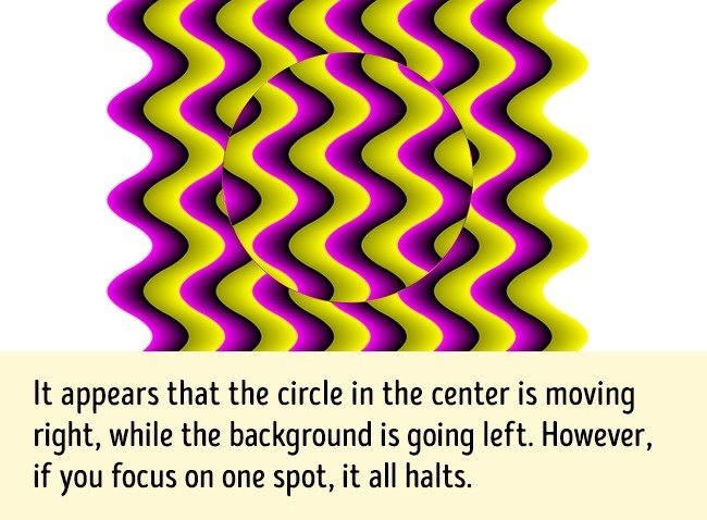 13 optical illusions make you not believe your eyes