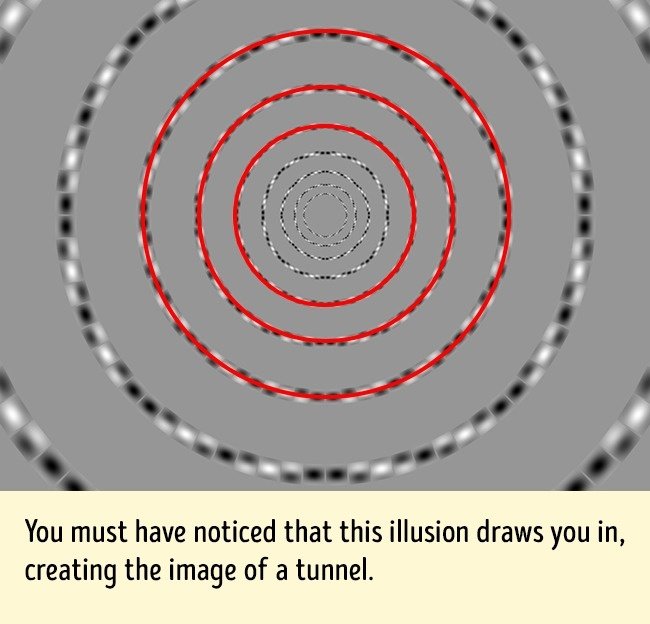 13 optical illusions make you not believe your eyes Picture 22