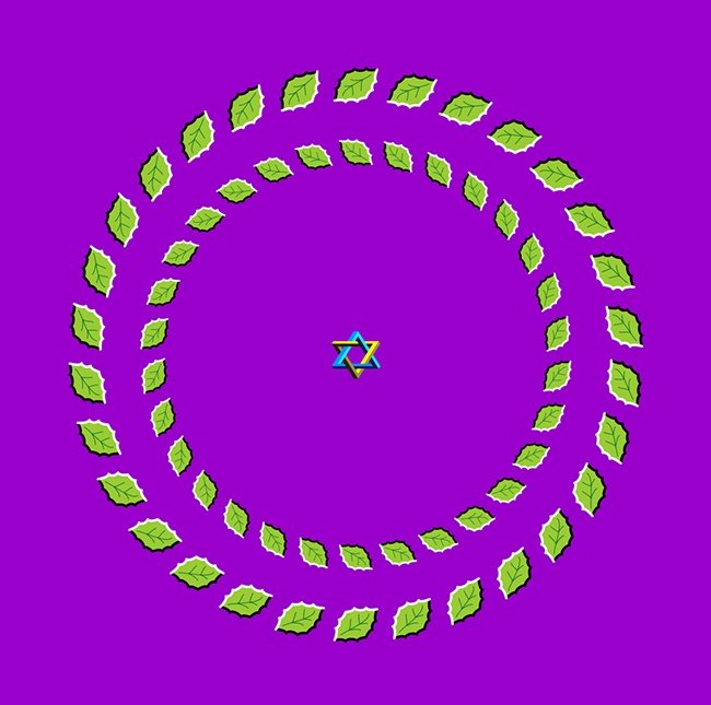 13 optical illusions make you not believe your eyes Picture 23