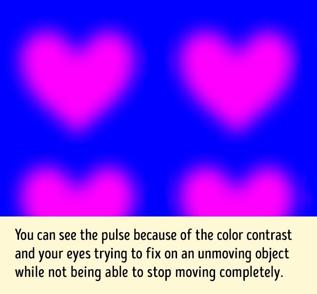 13 optical illusions make you not believe your eyes Picture 6