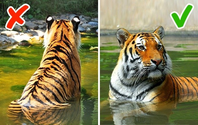 13 tips are extremely useful in modern life today Picture 14