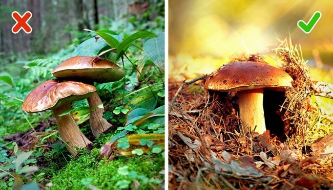 13 tips to help you 'survive' through dangerous situations Picture 3