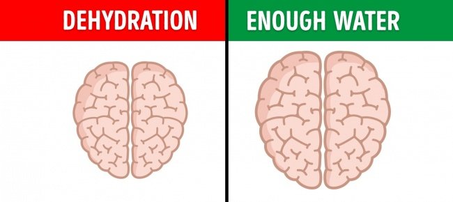 13 unexpected habits can harm the brain Picture 9