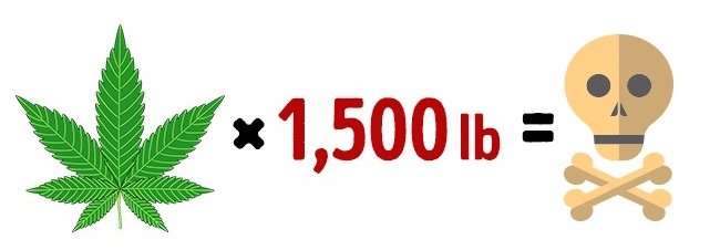 14 harmless food but if overdose can cause death Picture 6