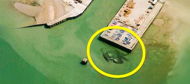 14 strange images found on Google Maps make you confused Picture 14