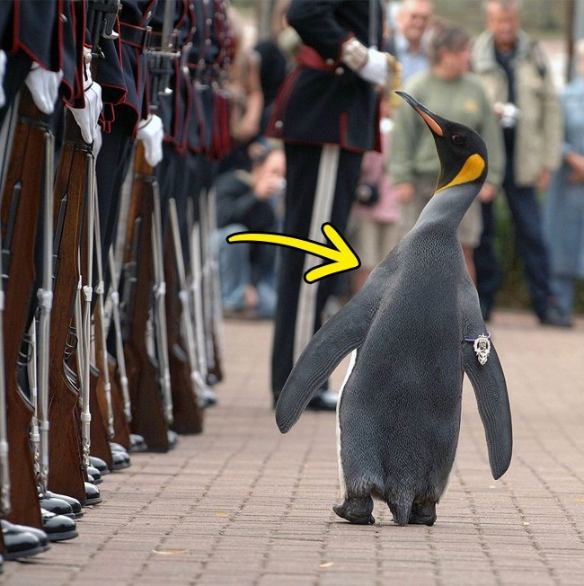 14 things seem unbelievable, but it is still true Picture 4