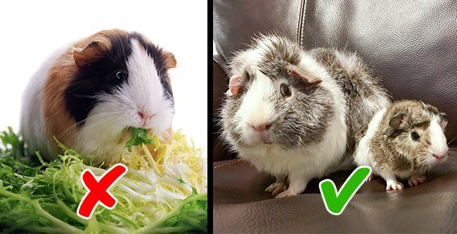 14 things seem unbelievable, but it is still true Picture 5