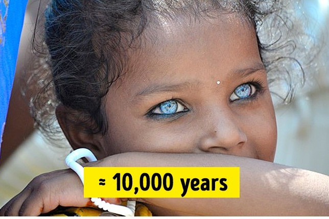 14 things seem unbelievable, but it is still true Picture 8