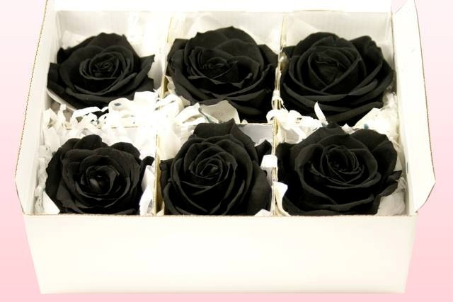 14/4 black valentine day for lonely people Picture 5