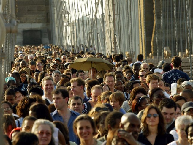 15 animals are most dangerous to humans Picture 16