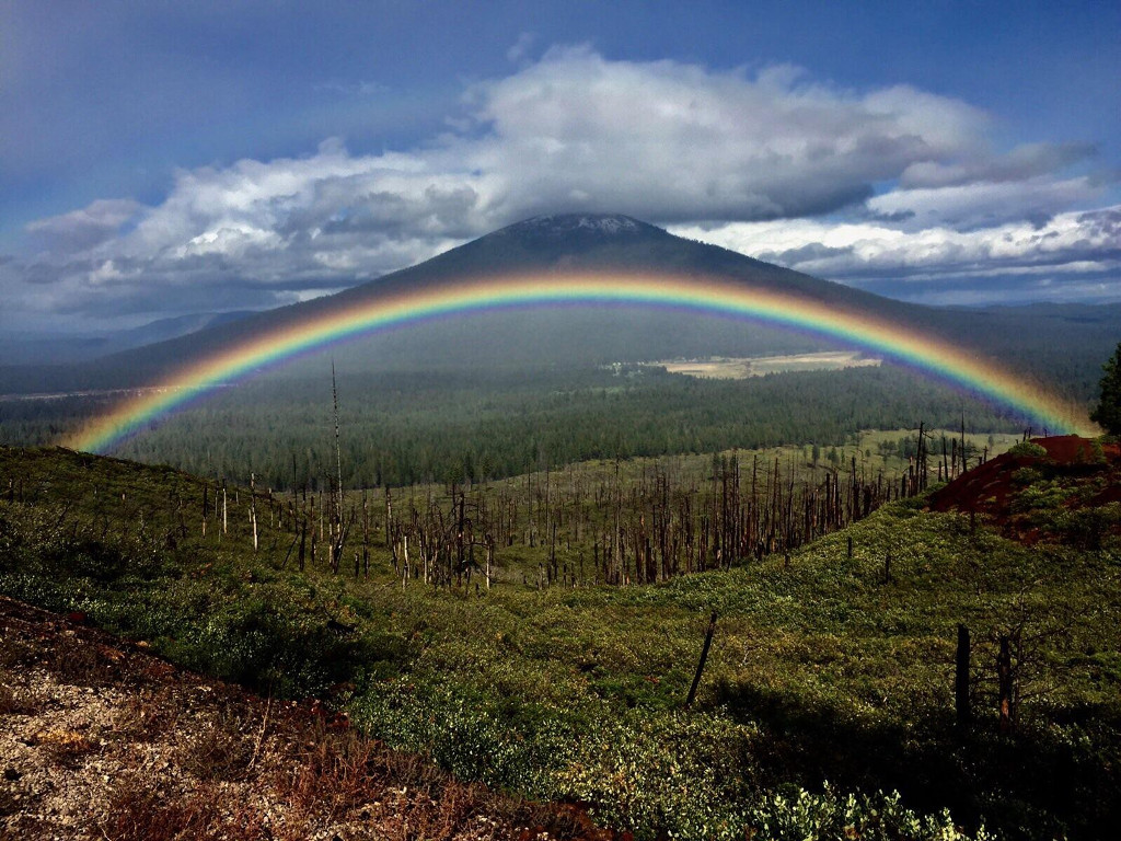 15 beautiful rainbow moments appear throughout the Earth Picture 12