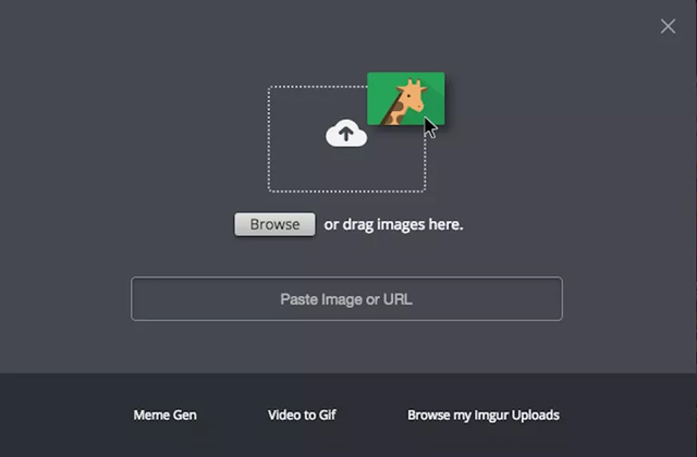 15 best photo hosting and sharing sites 2018 Picture 1