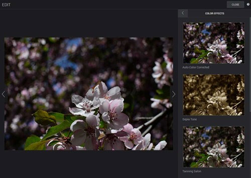 15 best photo hosting and sharing sites 2018 Picture 13