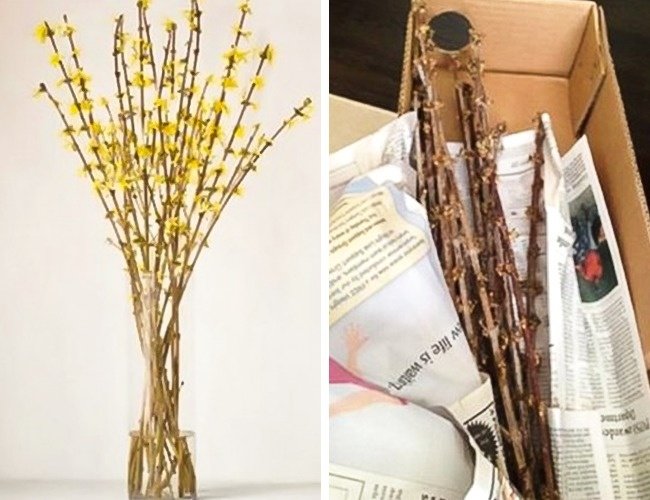 15 cases of 'bad crying and laughing' when buying goods online Picture 9