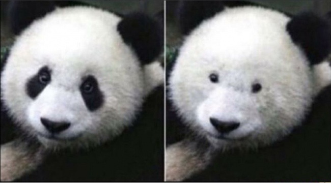 15 difficult to say only those who wear glasses close to understand Picture 10