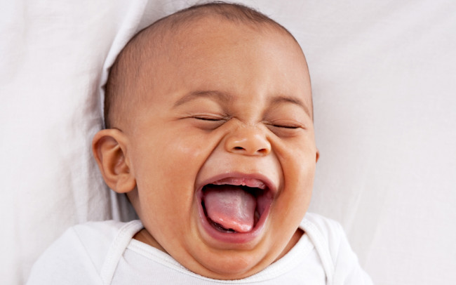 15 facts only for language learners to understand Picture 4