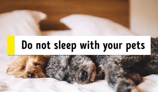 15 great tips to help defeat insomnia and easily wake up in the morning Picture 6