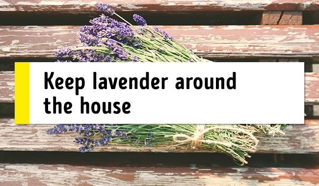 15 great tips to help defeat insomnia and easily wake up in the morning Picture 9