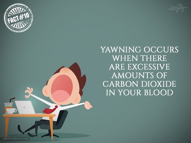 15 interesting facts about DRAGON phenomenon you may not know Picture 10