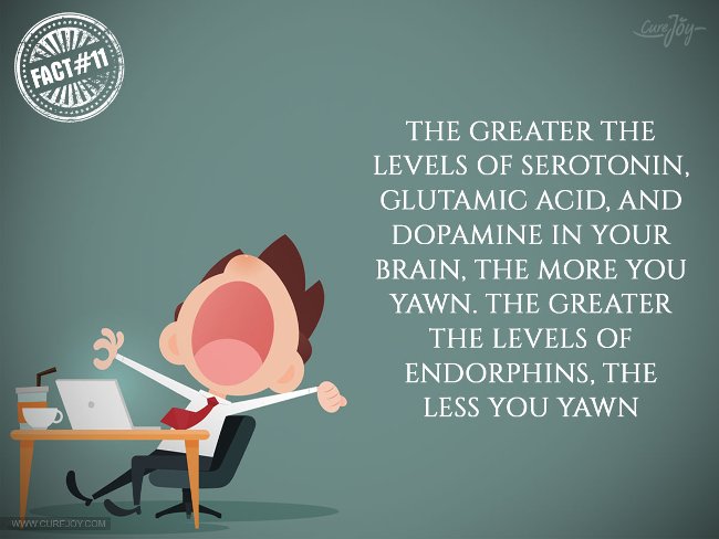 15 interesting facts about DRAGON phenomenon you may not know Picture 11