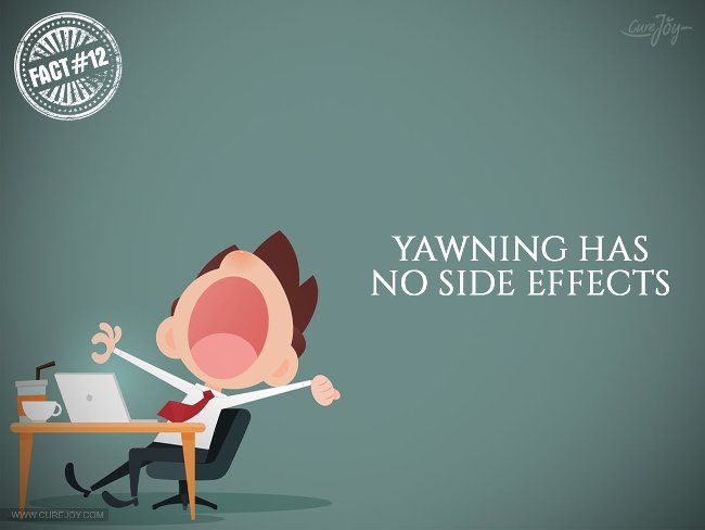 15 interesting facts about DRAGON phenomenon you may not know Picture 12