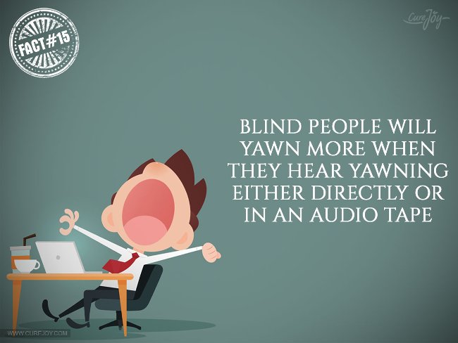 15 interesting facts about DRAGON phenomenon you may not know Picture 15