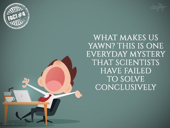 15 interesting facts about DRAGON phenomenon you may not know Picture 4