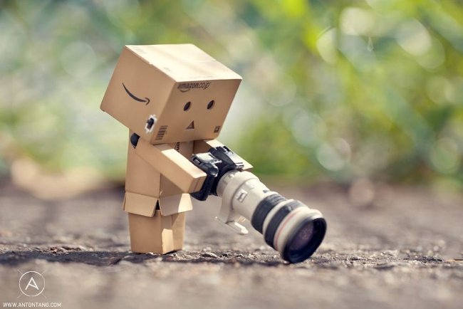 15 interesting facts you may not know about Amazon Picture 12