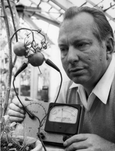 15+ invented strange, somewhat strange invention of the ancients Picture 11