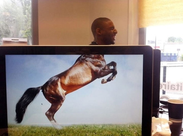 15 moments of misleading humor Picture 11