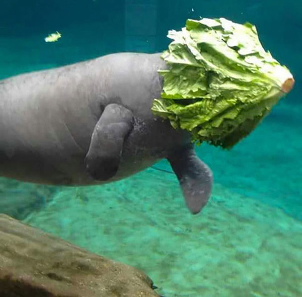 15 moments of misleading humor Picture 13