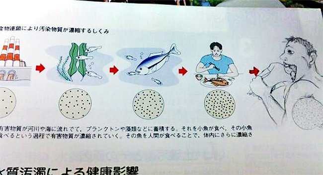 15 pages of impressive books to turn your boring class into more interesting Picture 12