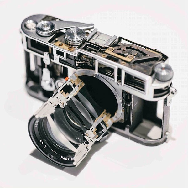 15 photos help you expand your knowledge Picture 5