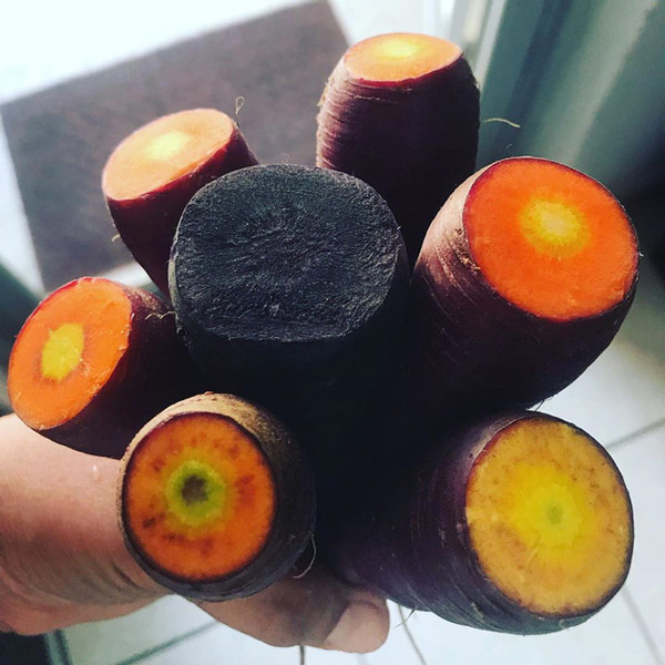 15 photos help you expand your knowledge Picture 6